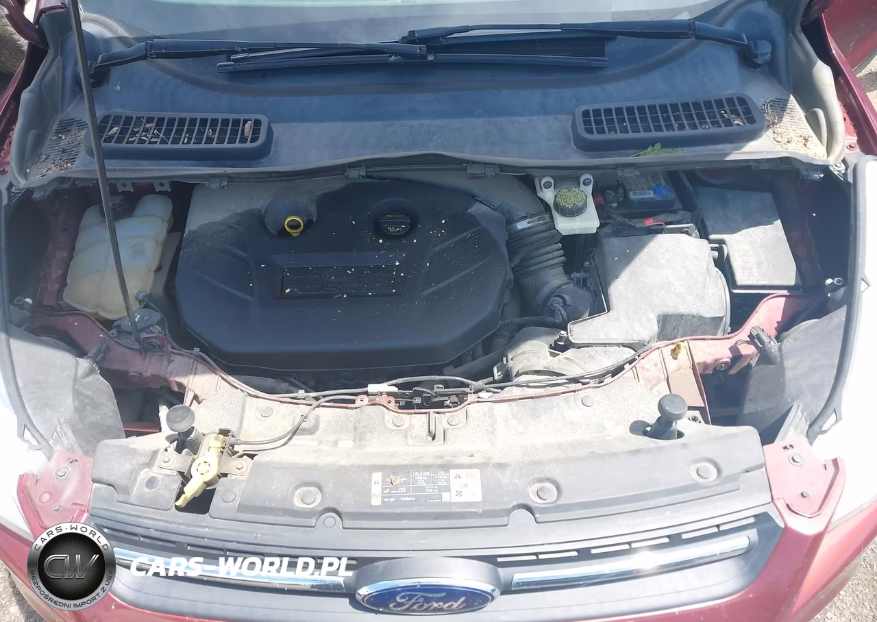 2014 Ford Escape Se VIN:1FMCU9G96EUA85500 - 10