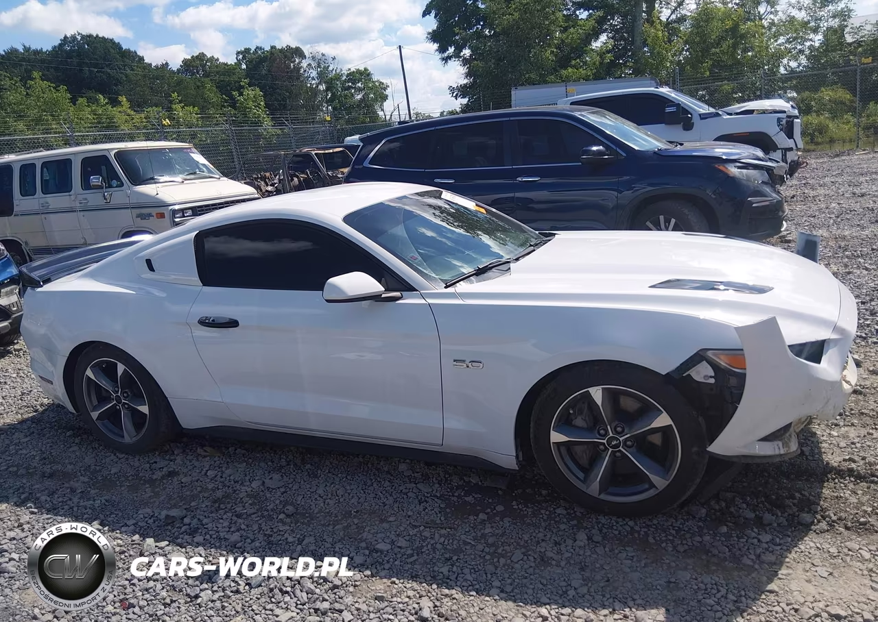 2016 Ford Mustang Gt-Gt Premium VIN:1FA6P8CF2G5266384 - 13