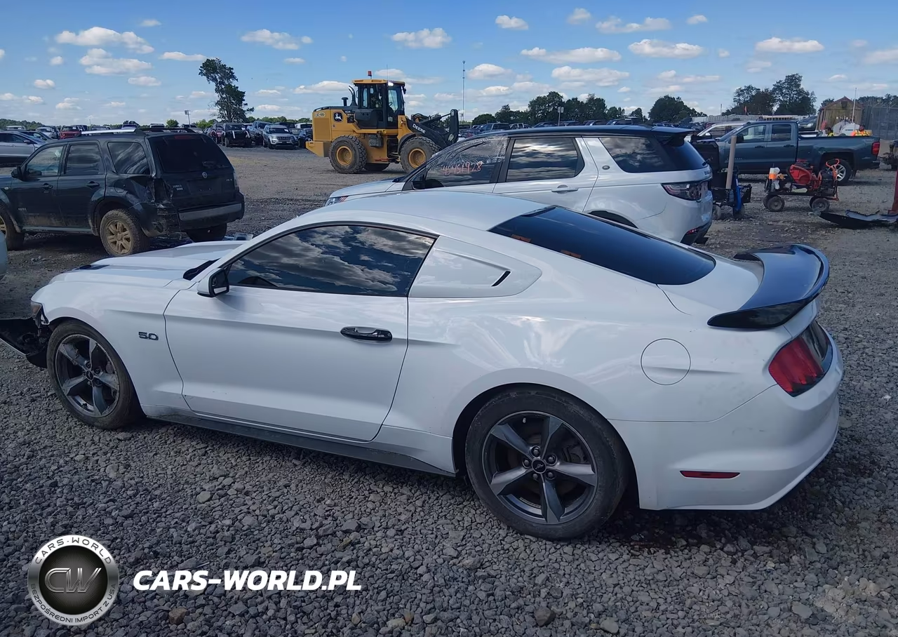 2016 Ford Mustang Gt-Gt Premium VIN:1FA6P8CF2G5266384 - 14