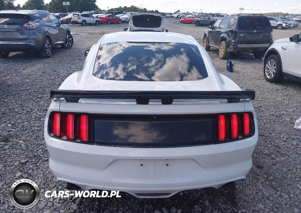 2016 Ford Mustang Gt-Gt Premium VIN:1FA6P8CF2G5266384 - 16