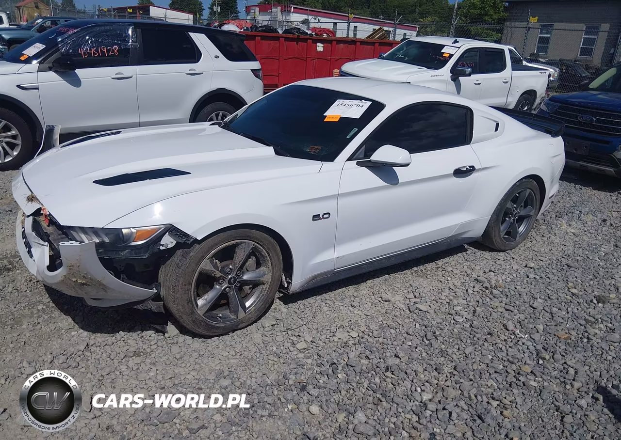 2016 Ford Mustang Gt-Gt Premium VIN:1FA6P8CF2G5266384 - 2