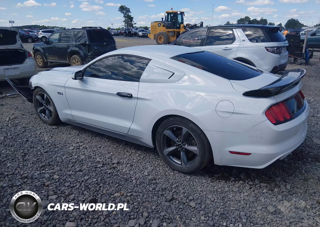 2016 Ford Mustang Gt-Gt Premium VIN:1FA6P8CF2G5266384 - 3