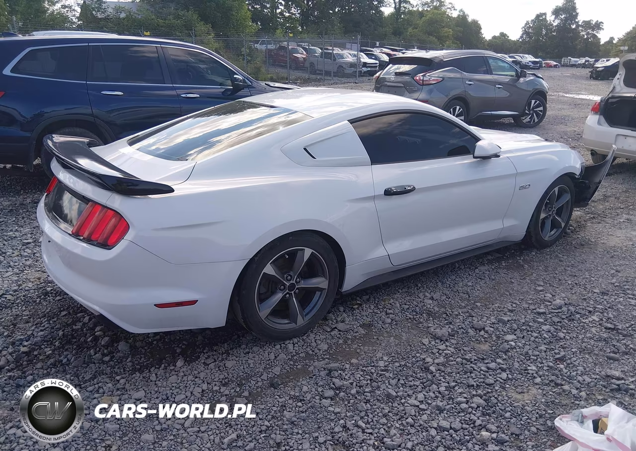 2016 Ford Mustang Gt-Gt Premium VIN:1FA6P8CF2G5266384 - 4