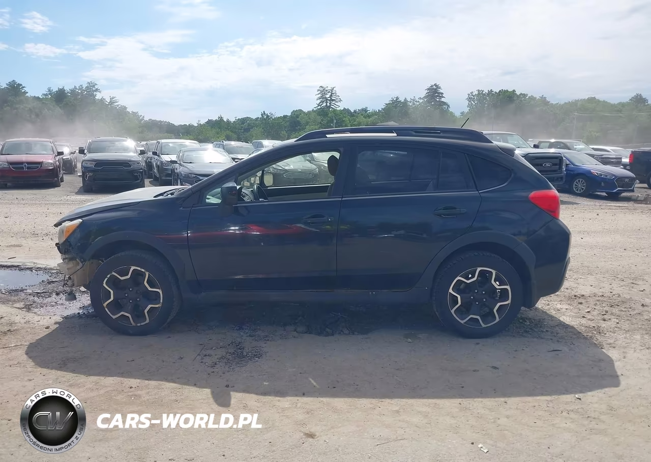 2014 Subaru Xv Crosstrek 2.0I Premium VIN:JF2GPACC1E8254607 - 15