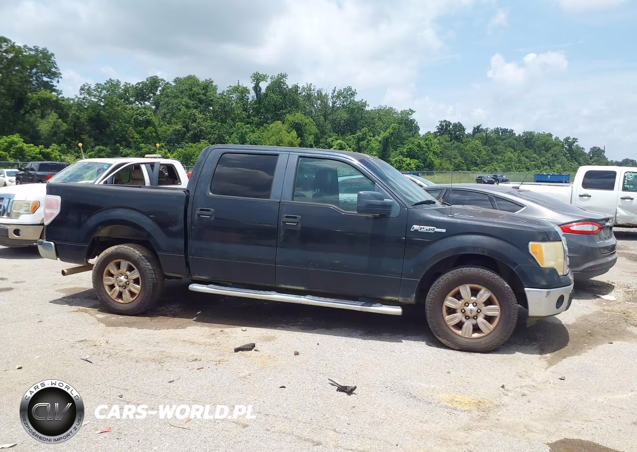 2011 Ford F-150 VIN:1FTFW1CF6BKD52067 - 13