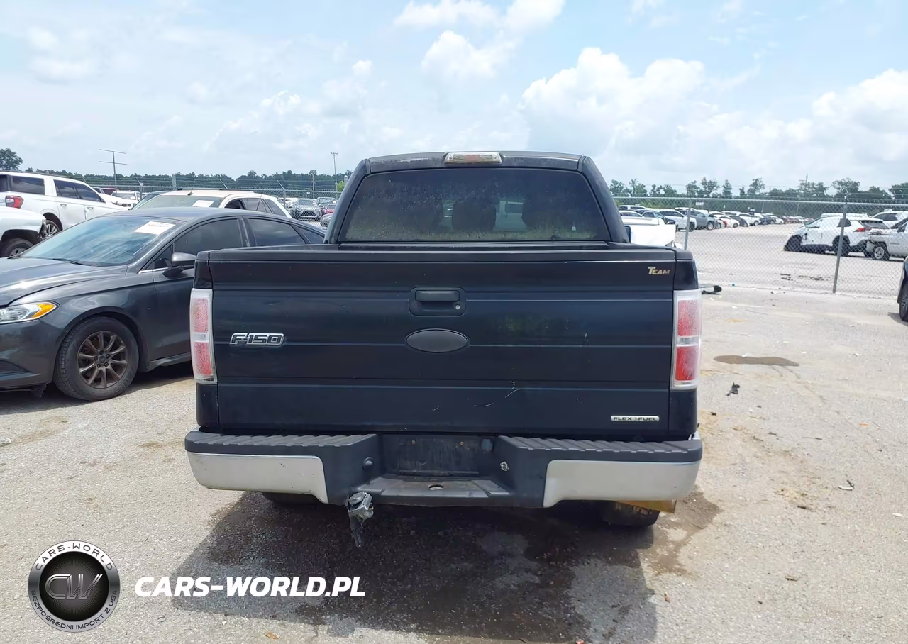 2011 Ford F-150 VIN:1FTFW1CF6BKD52067 - 16