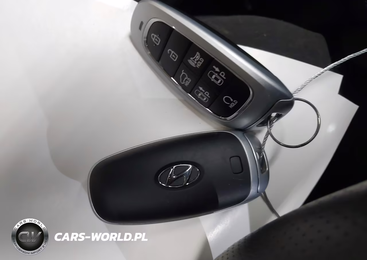 2023 Hyundai Santa Fe Calligraphy VIN:5NMS5DAL0PH518940 - 11