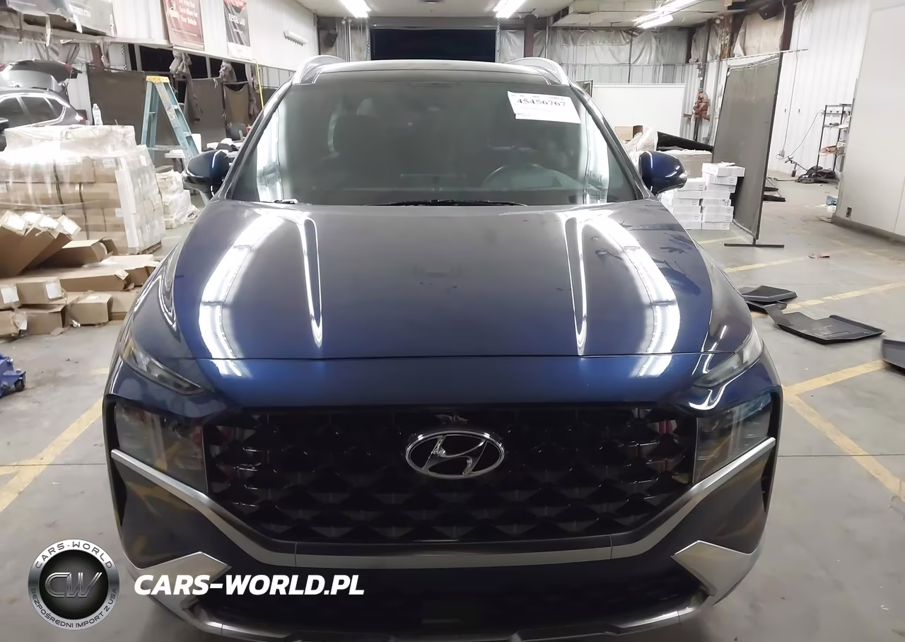2023 Hyundai Santa Fe Calligraphy VIN:5NMS5DAL0PH518940 - 12