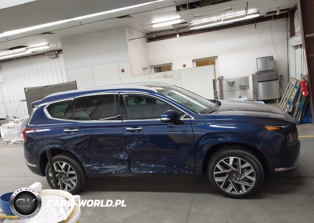 2023 Hyundai Santa Fe Calligraphy VIN:5NMS5DAL0PH518940 - 13