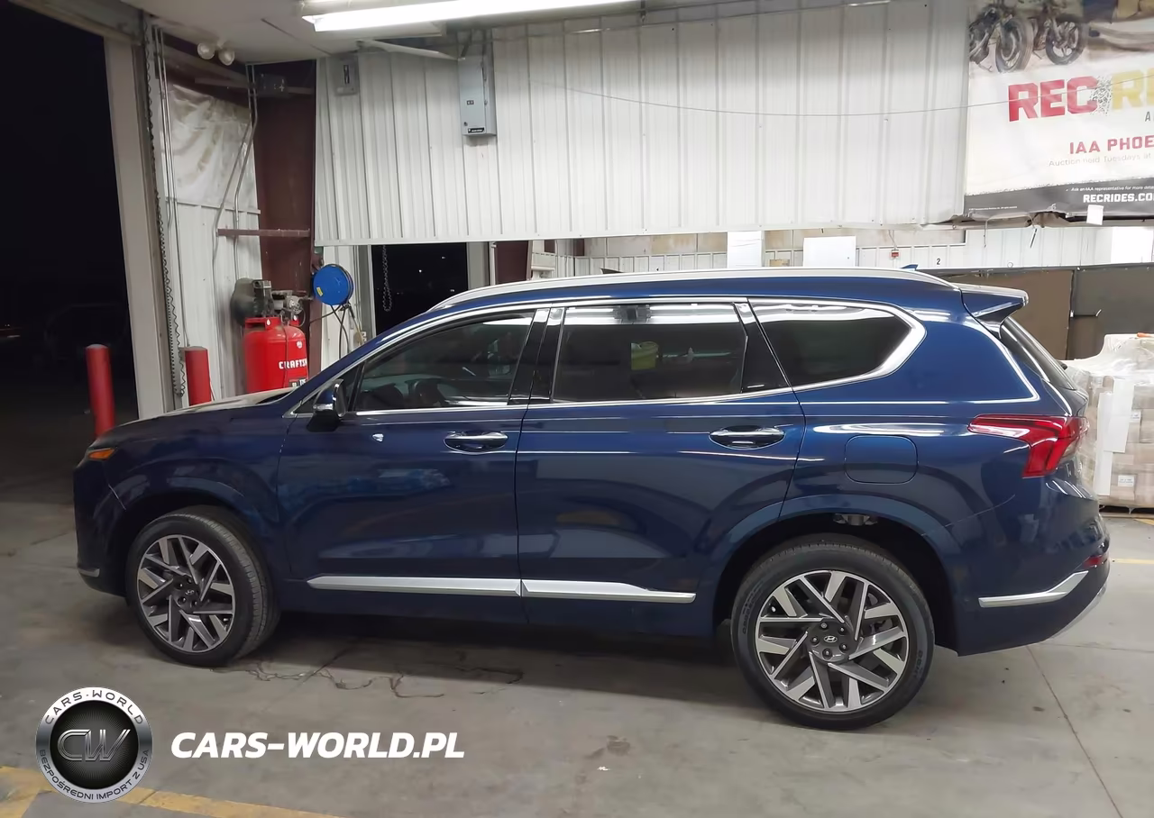 2023 Hyundai Santa Fe Calligraphy VIN:5NMS5DAL0PH518940 - 14