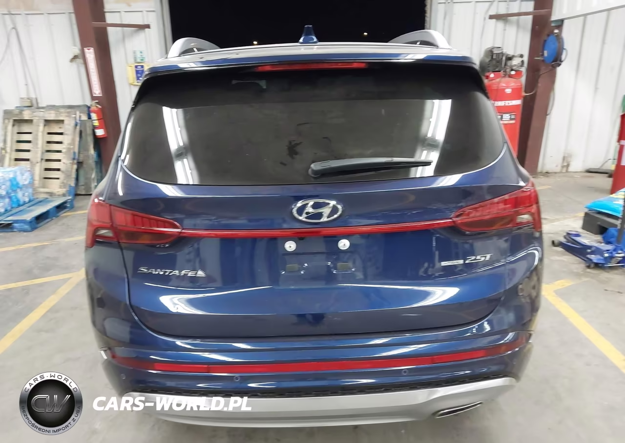 2023 Hyundai Santa Fe Calligraphy VIN:5NMS5DAL0PH518940 - 16