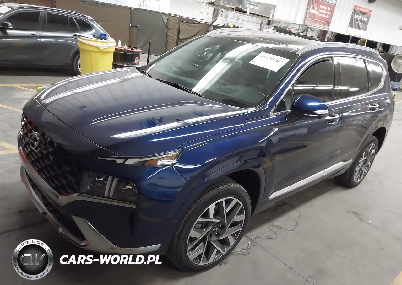 2023 Hyundai Santa Fe Calligraphy VIN:5NMS5DAL0PH518940 - 2