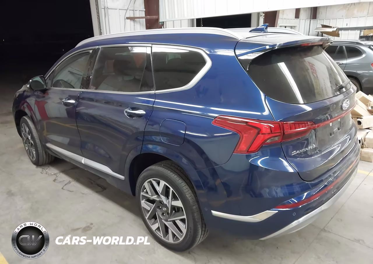 2023 Hyundai Santa Fe Calligraphy VIN:5NMS5DAL0PH518940 - 3