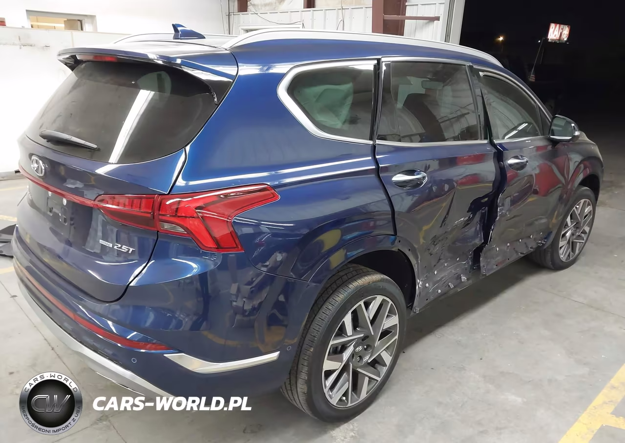 2023 Hyundai Santa Fe Calligraphy VIN:5NMS5DAL0PH518940 - 4