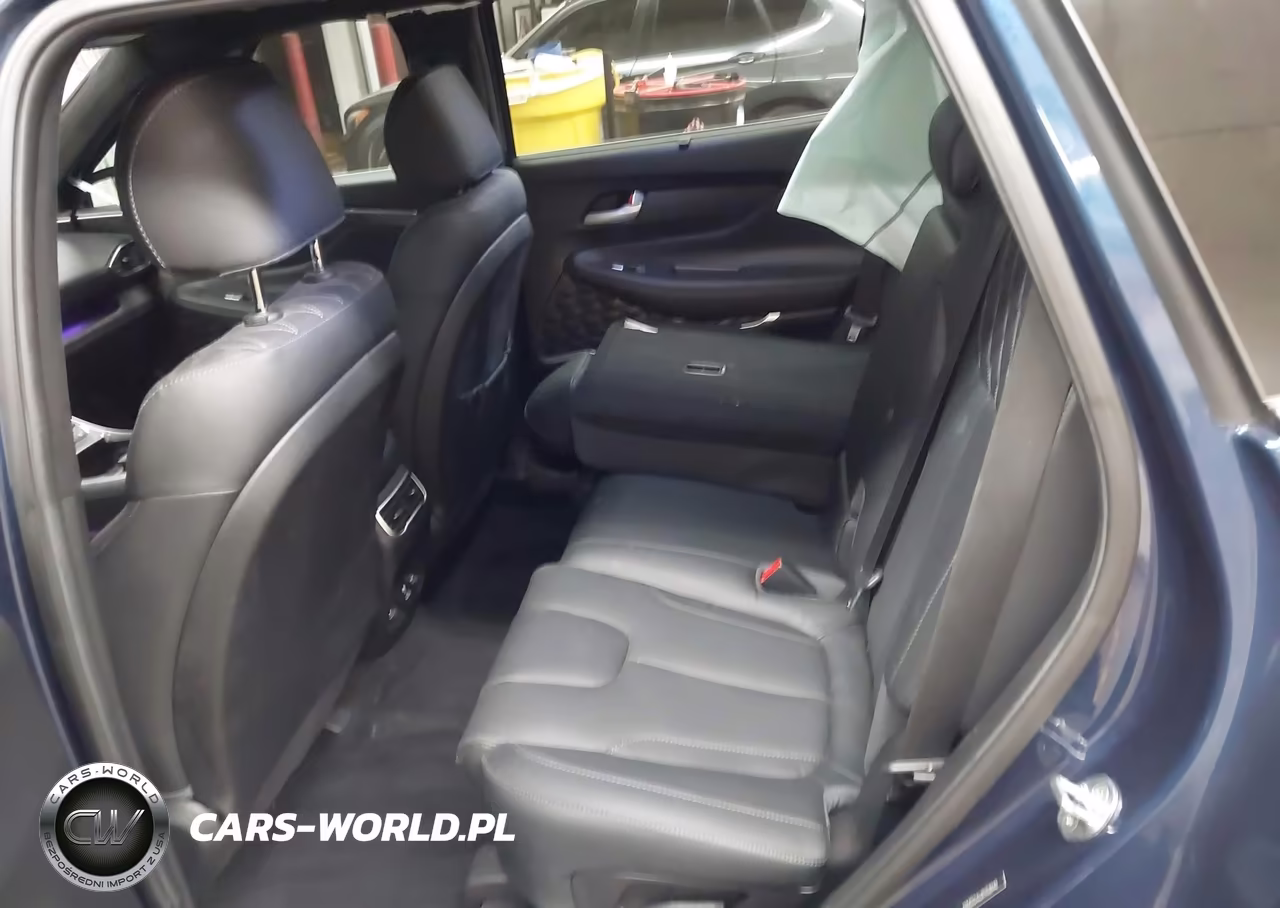 2023 Hyundai Santa Fe Calligraphy VIN:5NMS5DAL0PH518940 - 8