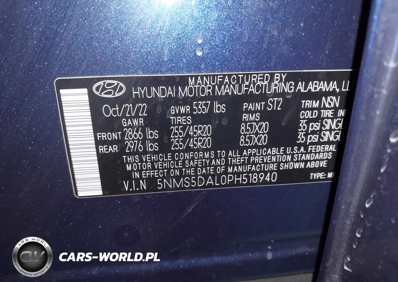 2023 Hyundai Santa Fe Calligraphy VIN:5NMS5DAL0PH518940 - 9