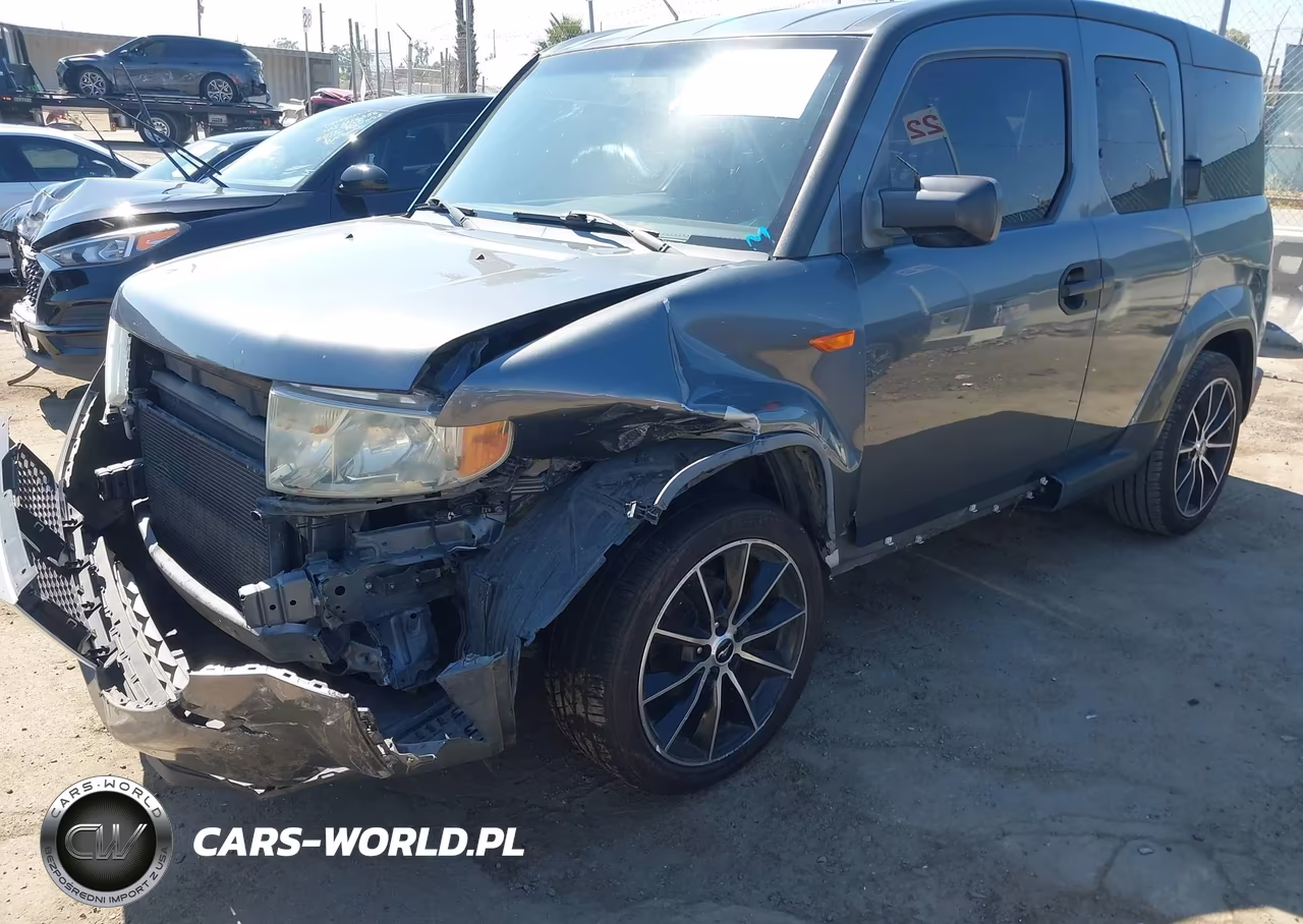 2010 Honda Element Lx VIN:5J6YH1H36AL001132 - 6