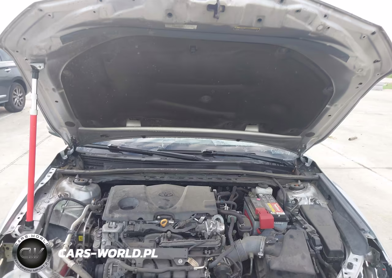 2021 Toyota Camry Le VIN:4T1C11AK7MU564514 - 10