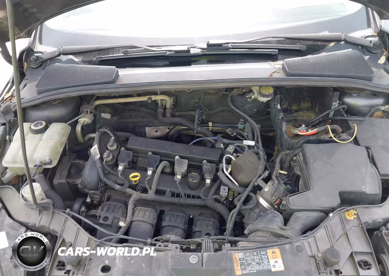 2015 Ford Focus Titanium VIN:1FADP3N29FL387265 - 10
