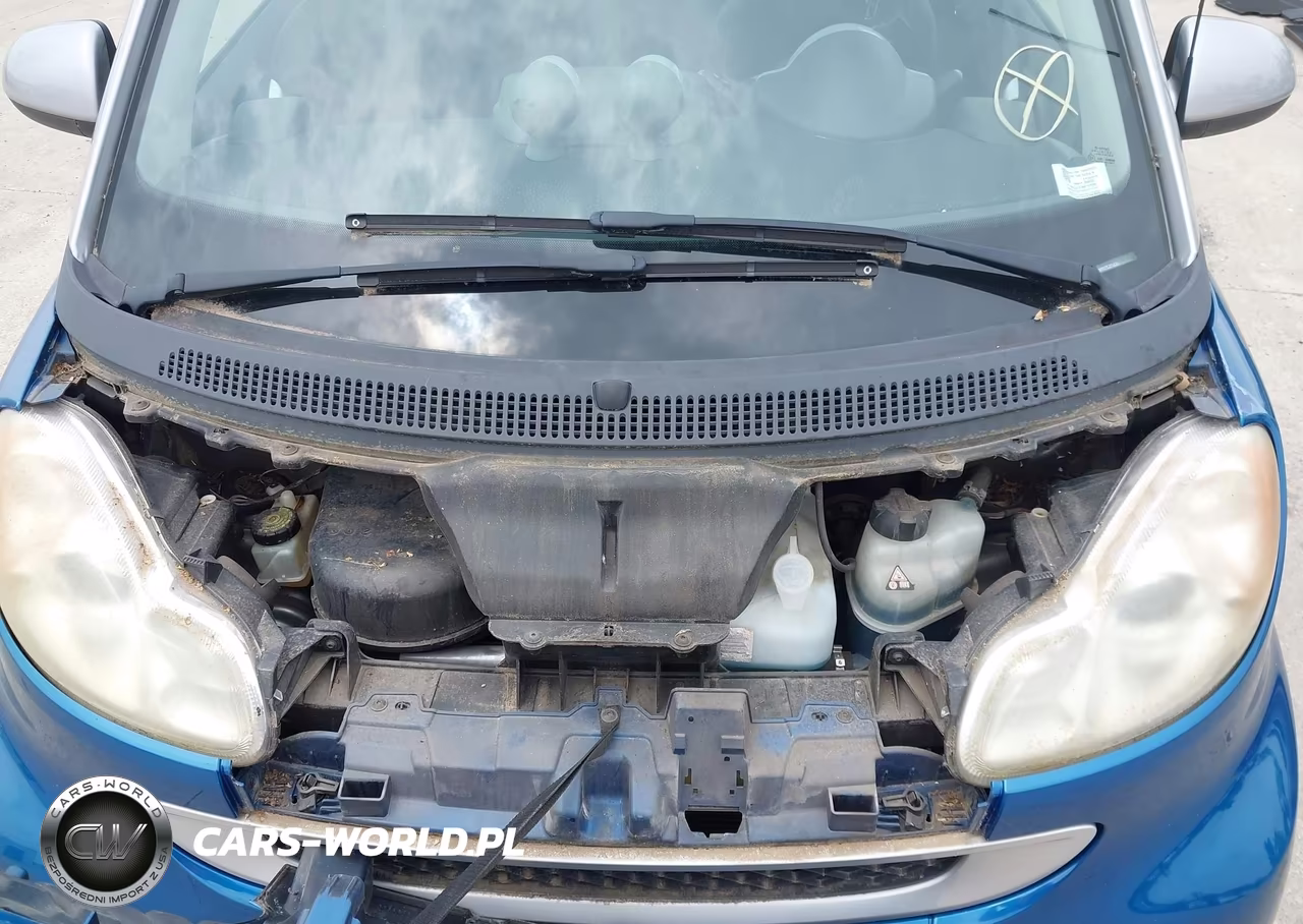 2008 Smart Fortwo Passion-Pure VIN:WMEEJ31X38K197098 - 10