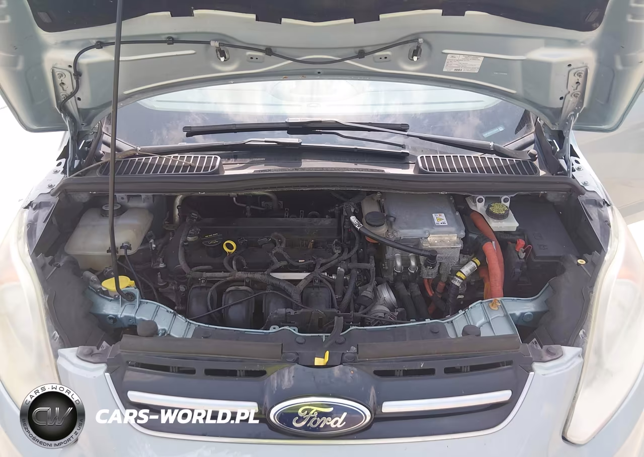 2013 Ford C-Max Hybrid Sel VIN:1FADP5BUXDL539648 - 10
