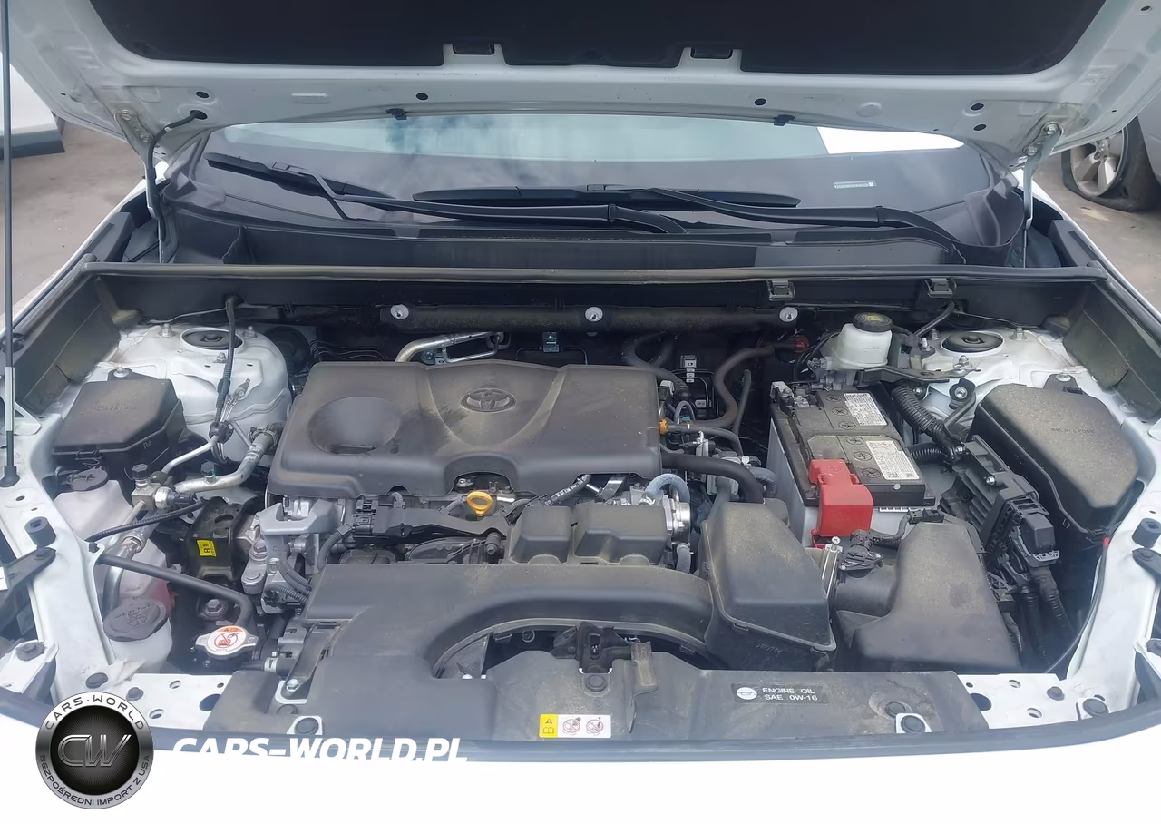 2025 Toyota Rav4 Xle Premium VIN:2T3C1RFV0SW383308 - 10