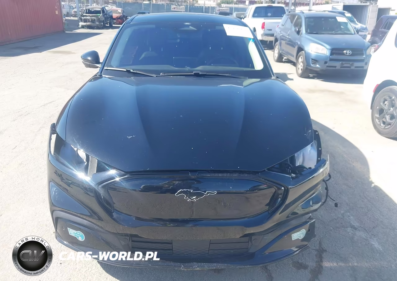 2024 Ford Mustang Mach-E Premium VIN:3FMTK3R77RMA48304 - 13