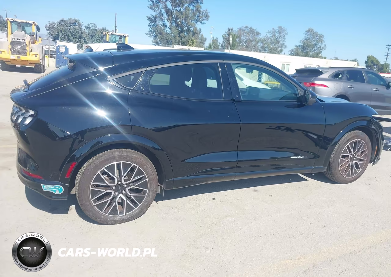 2024 Ford Mustang Mach-E Premium VIN:3FMTK3R77RMA48304 - 14