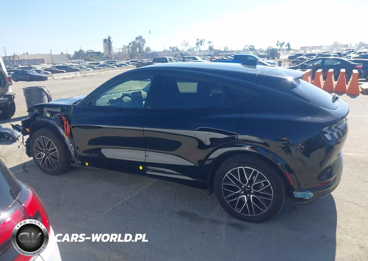 2024 Ford Mustang Mach-E Premium VIN:3FMTK3R77RMA48304 - 15