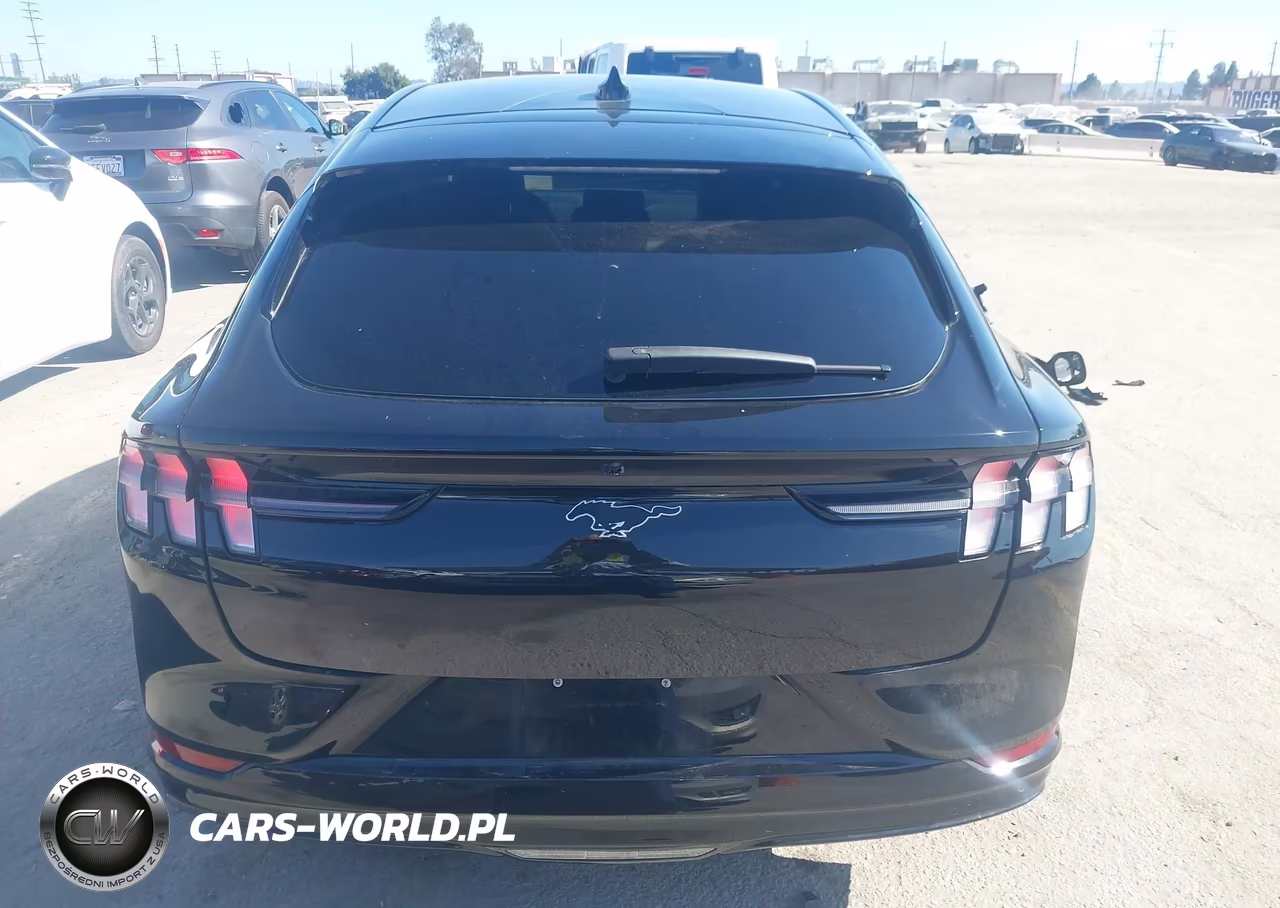 2024 Ford Mustang Mach-E Premium VIN:3FMTK3R77RMA48304 - 17