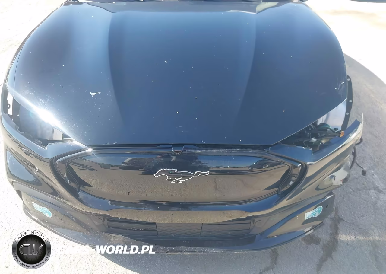 2024 Ford Mustang Mach-E Premium VIN:3FMTK3R77RMA48304 - 21