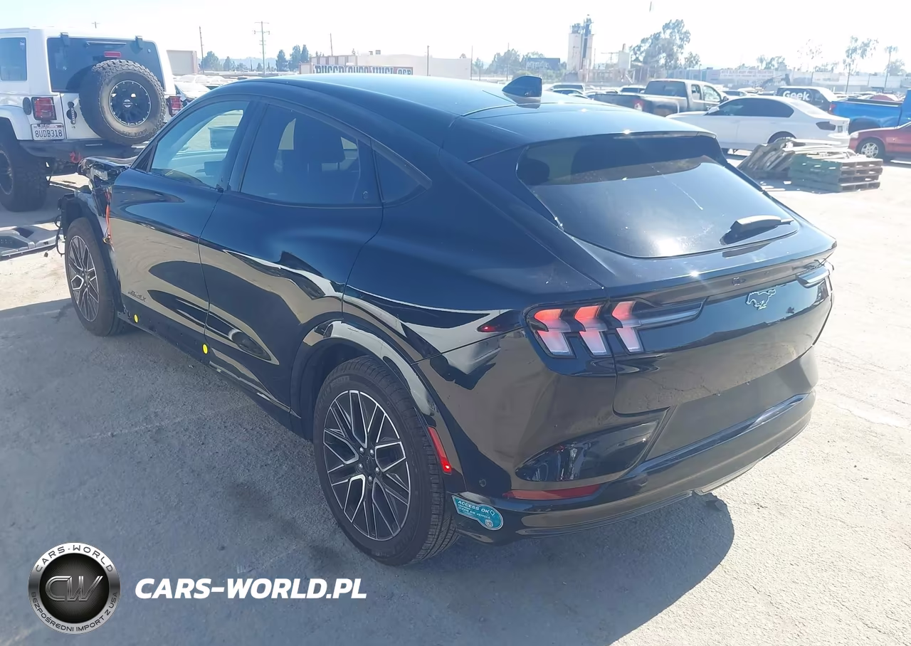 2024 Ford Mustang Mach-E Premium VIN:3FMTK3R77RMA48304 - 3