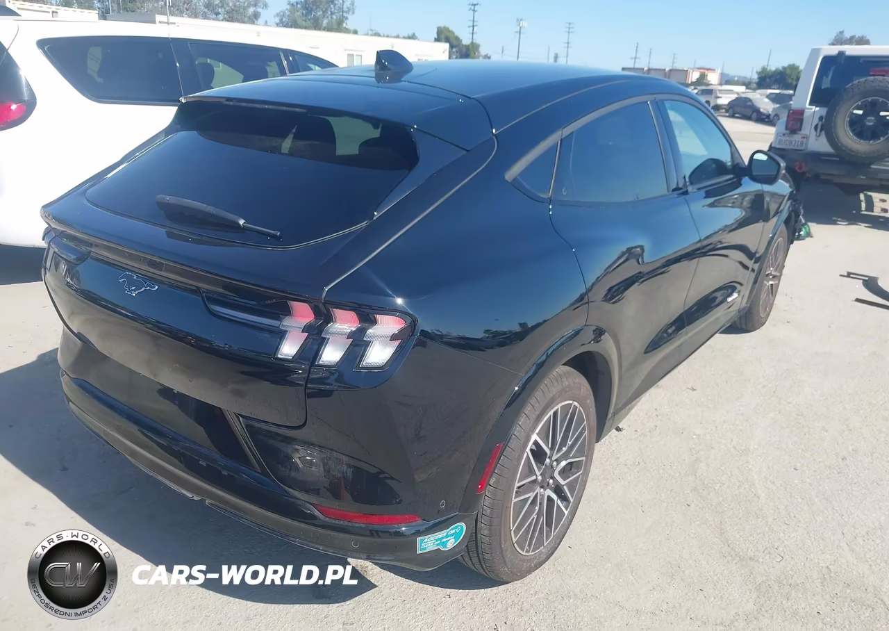 2024 Ford Mustang Mach-E Premium VIN:3FMTK3R77RMA48304 - 4