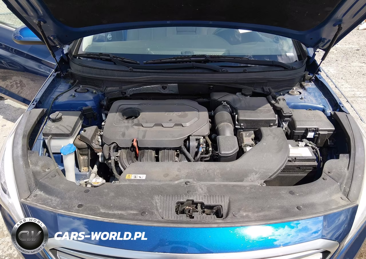 2017 Hyundai Sonata Se VIN:5NPE24AF8HH489742 - 10