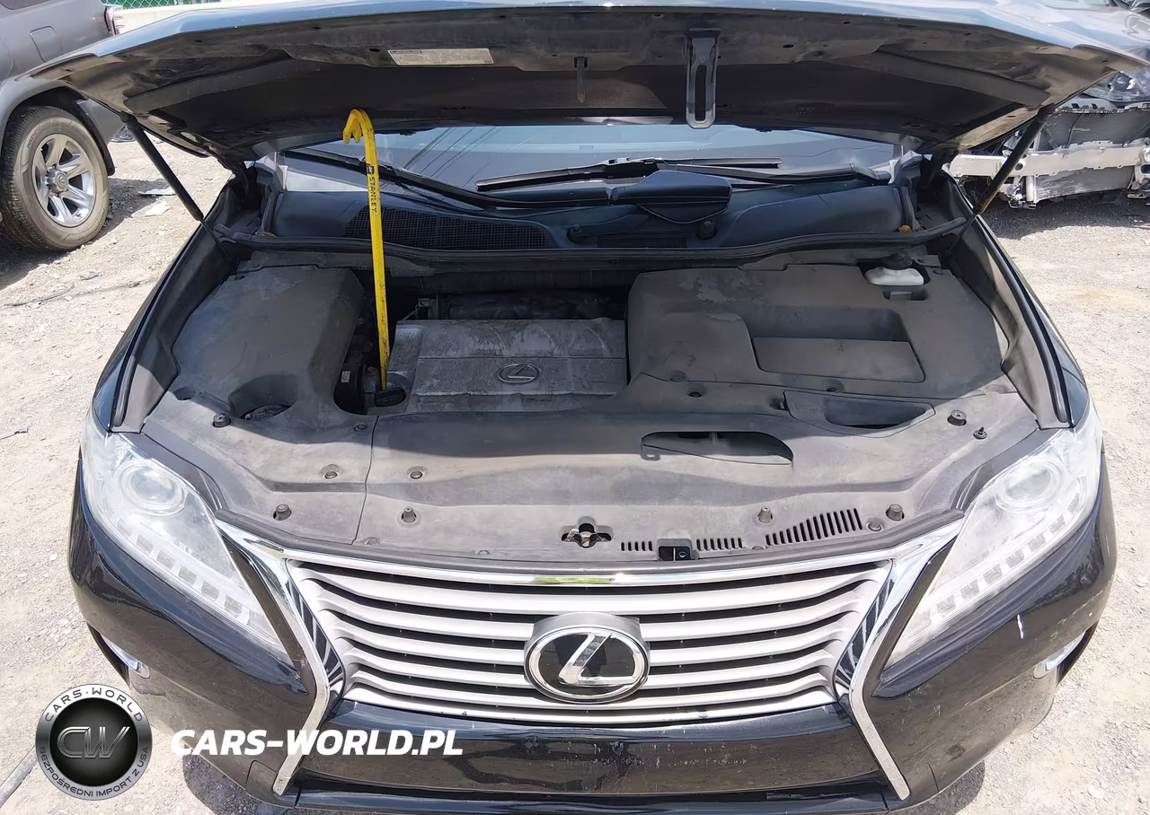 2015 Lexus Rx 350 VIN:2T2BK1BA5FC265487 - 10