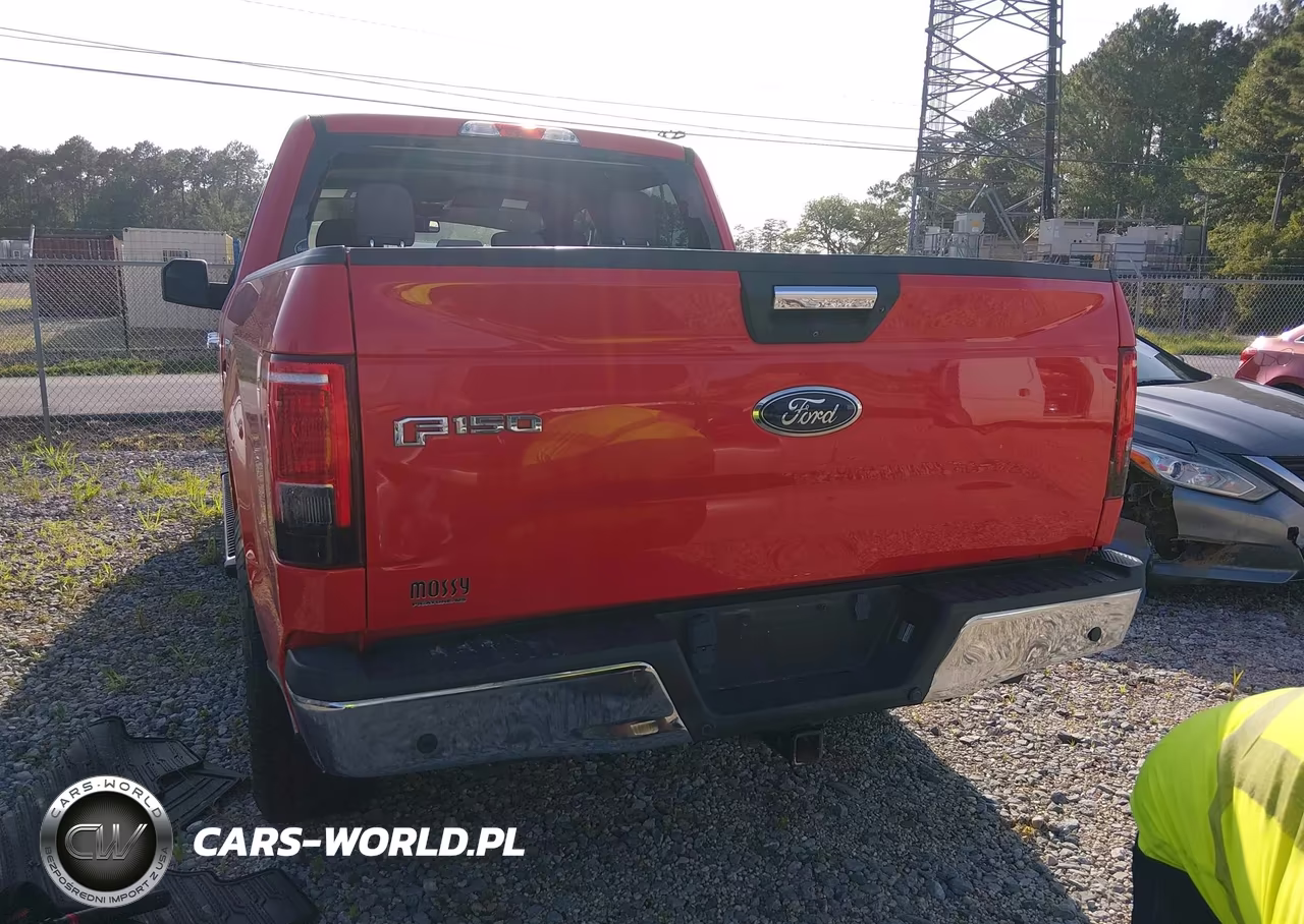 2017 Ford F-150 King Ranch-Lariat-Limited-Platinum-Xl-Xlt VIN:1FTEW1EG1HKD51273 - 16
