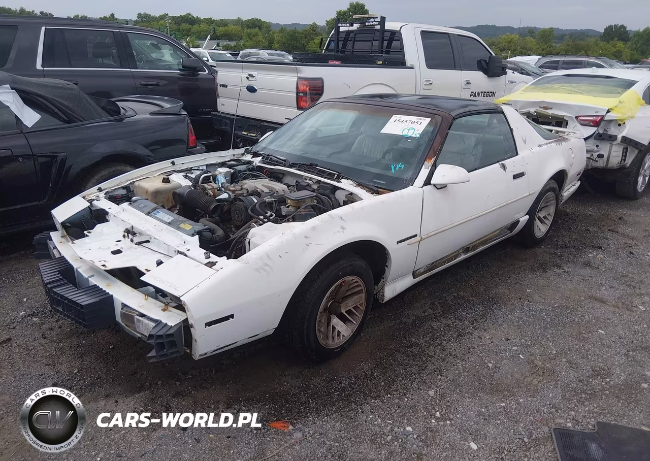 1991 Pontiac Firebird VIN:1G2FS23T3ML248676 - 2