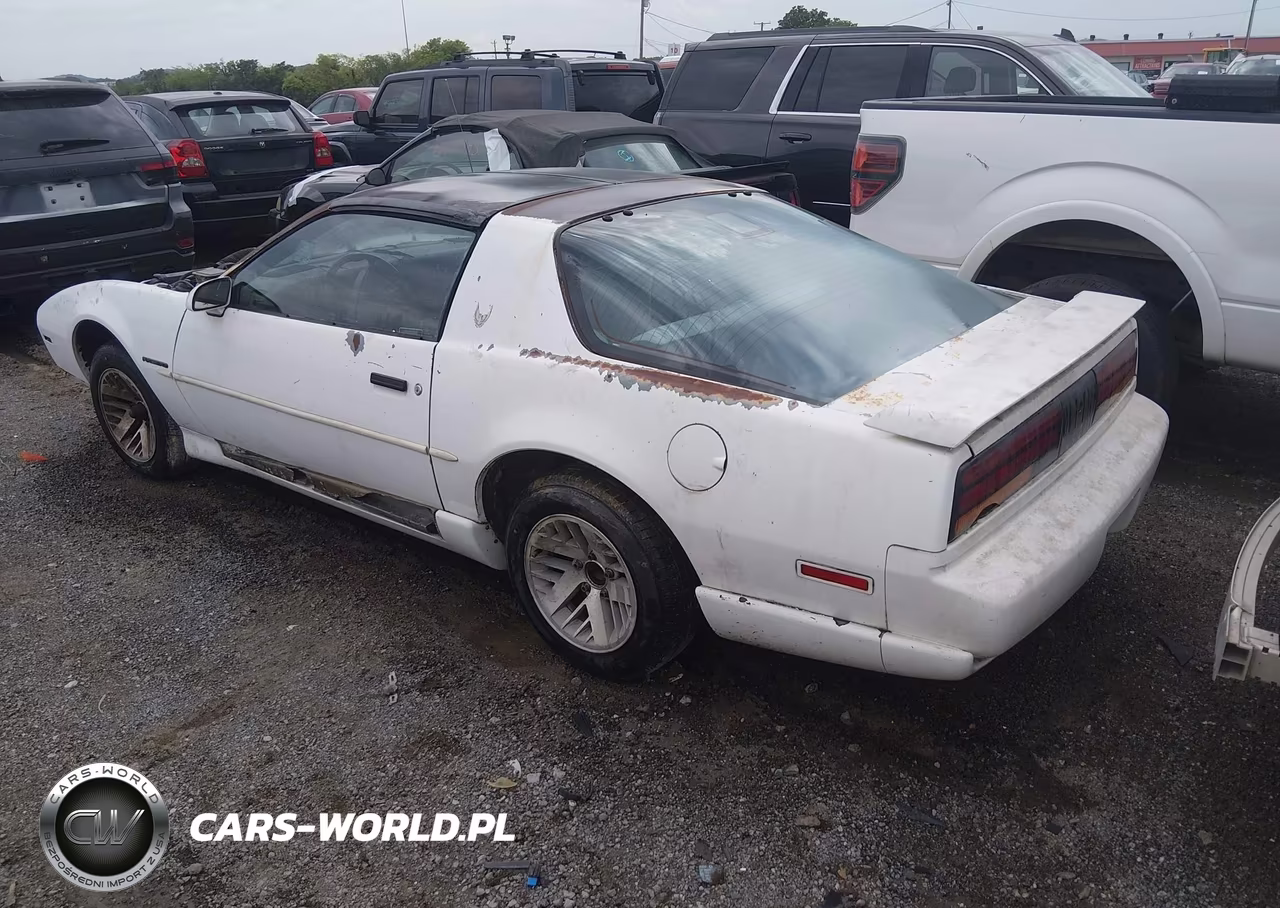 1991 Pontiac Firebird VIN:1G2FS23T3ML248676 - 3