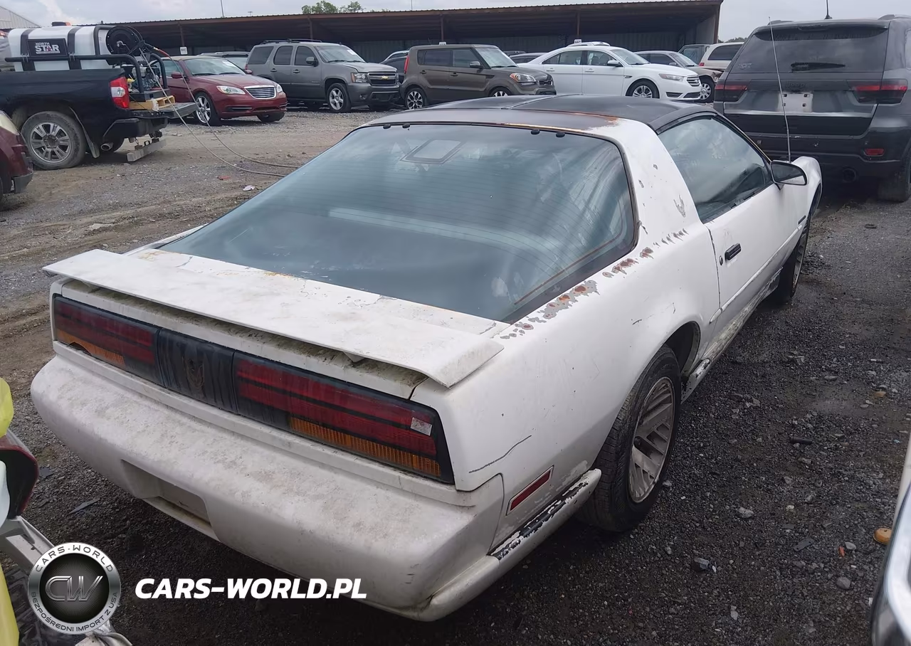 1991 Pontiac Firebird VIN:1G2FS23T3ML248676 - 4