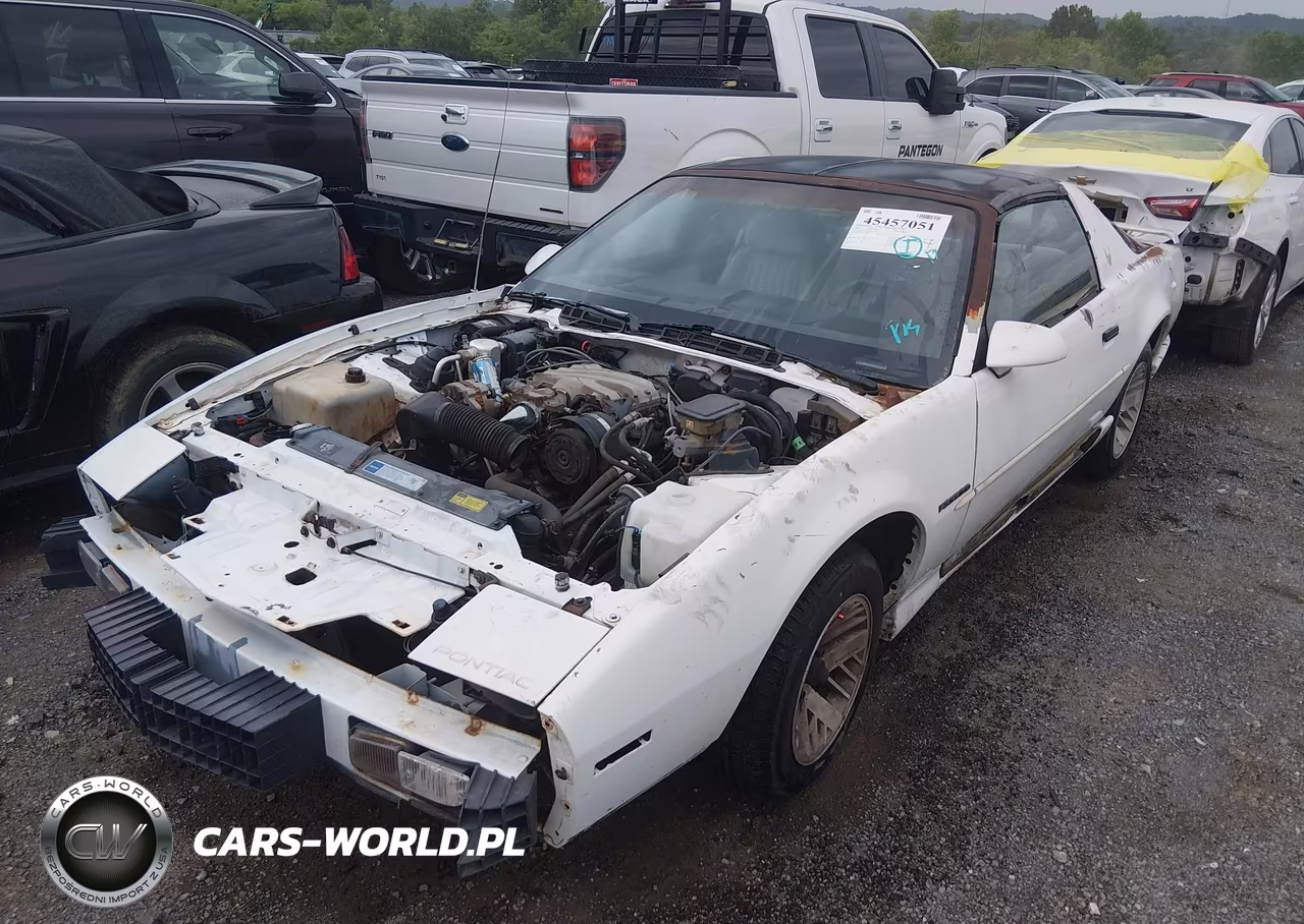 1991 Pontiac Firebird VIN:1G2FS23T3ML248676 - 6
