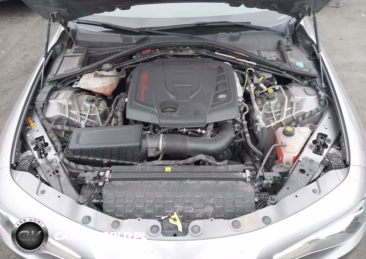 2019 Alfa Romeo Giulia Rwd VIN:ZARFAMAN8K7609622 - 10