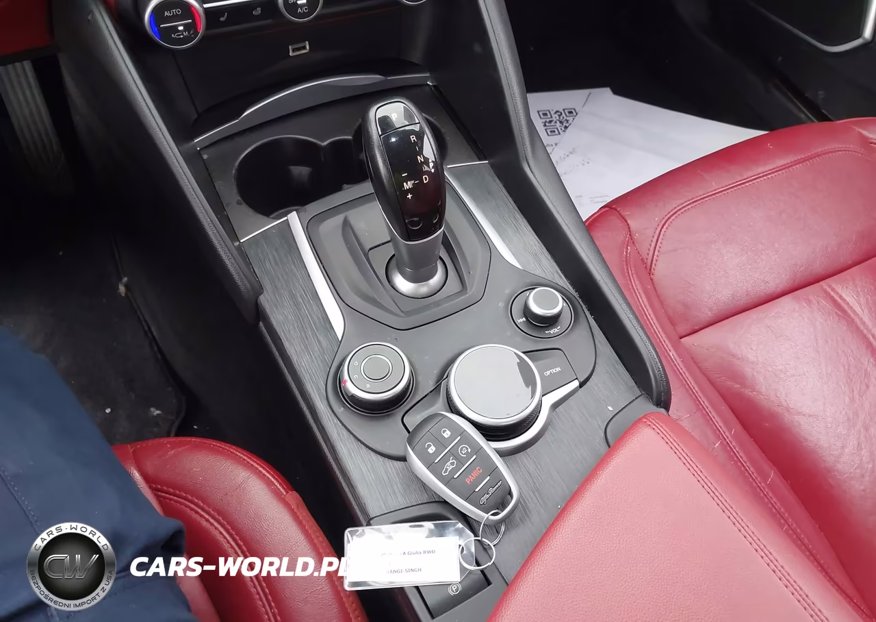 2019 Alfa Romeo Giulia Rwd VIN:ZARFAMAN8K7609622 - 11