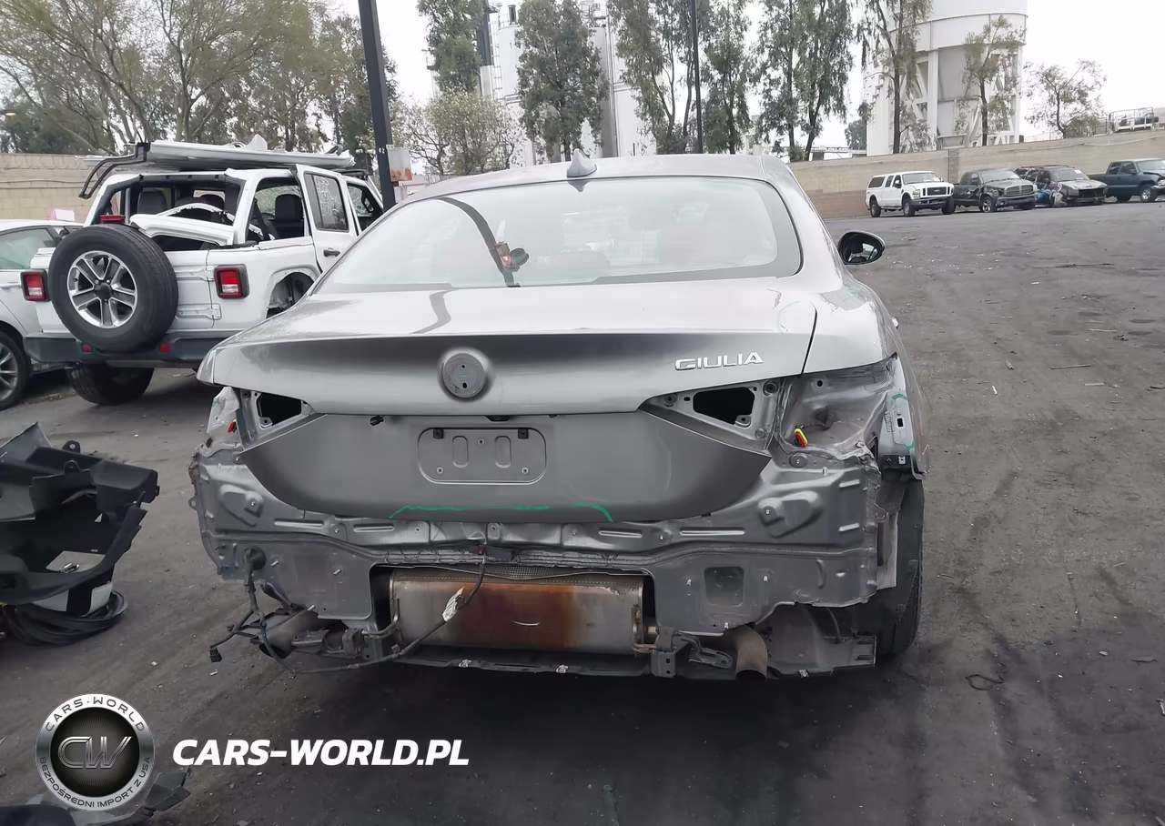2019 Alfa Romeo Giulia Rwd VIN:ZARFAMAN8K7609622 - 17