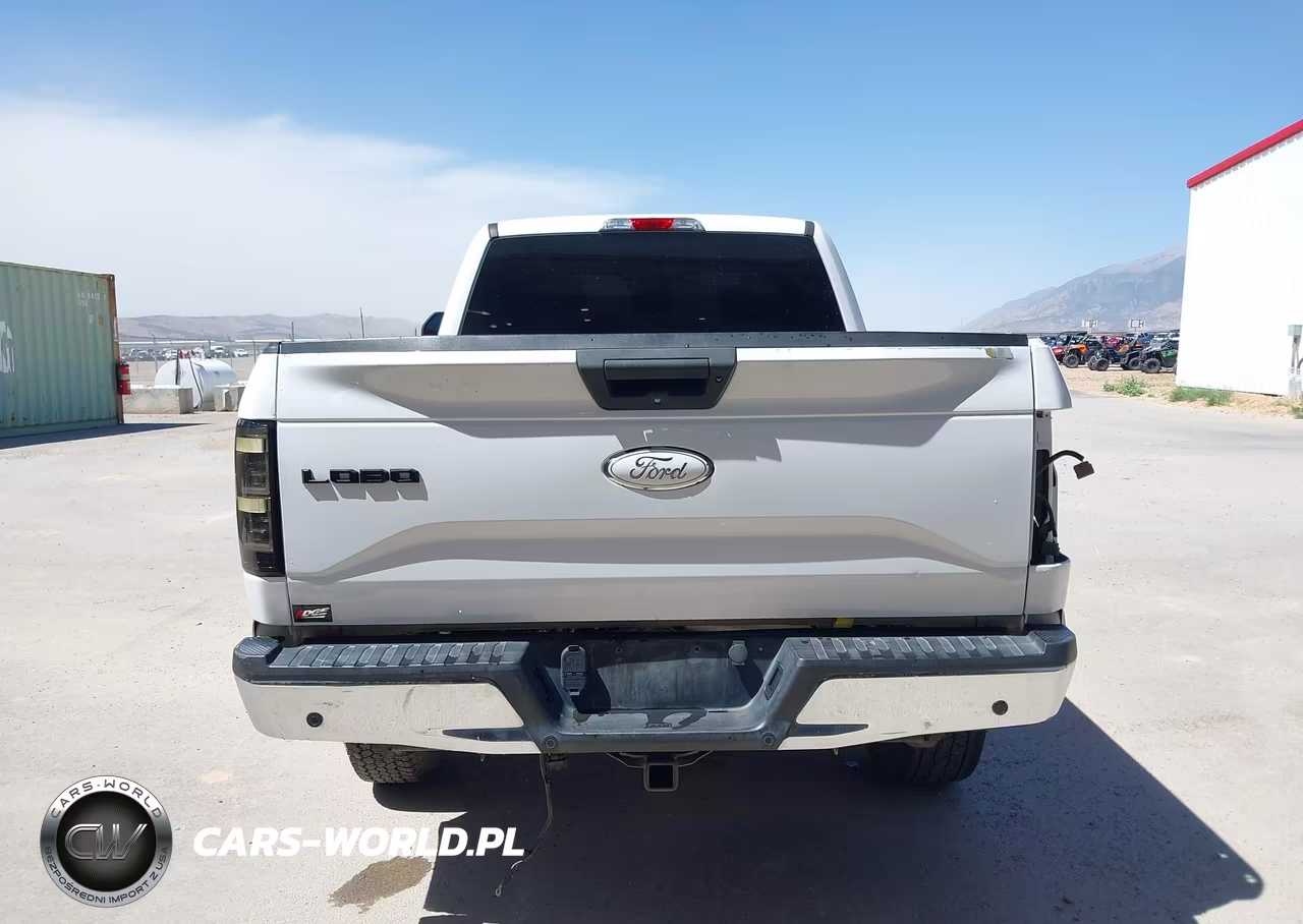 2017 Ford F-150 Xlt VIN:1FTFX1EF2HKD90110 - 17