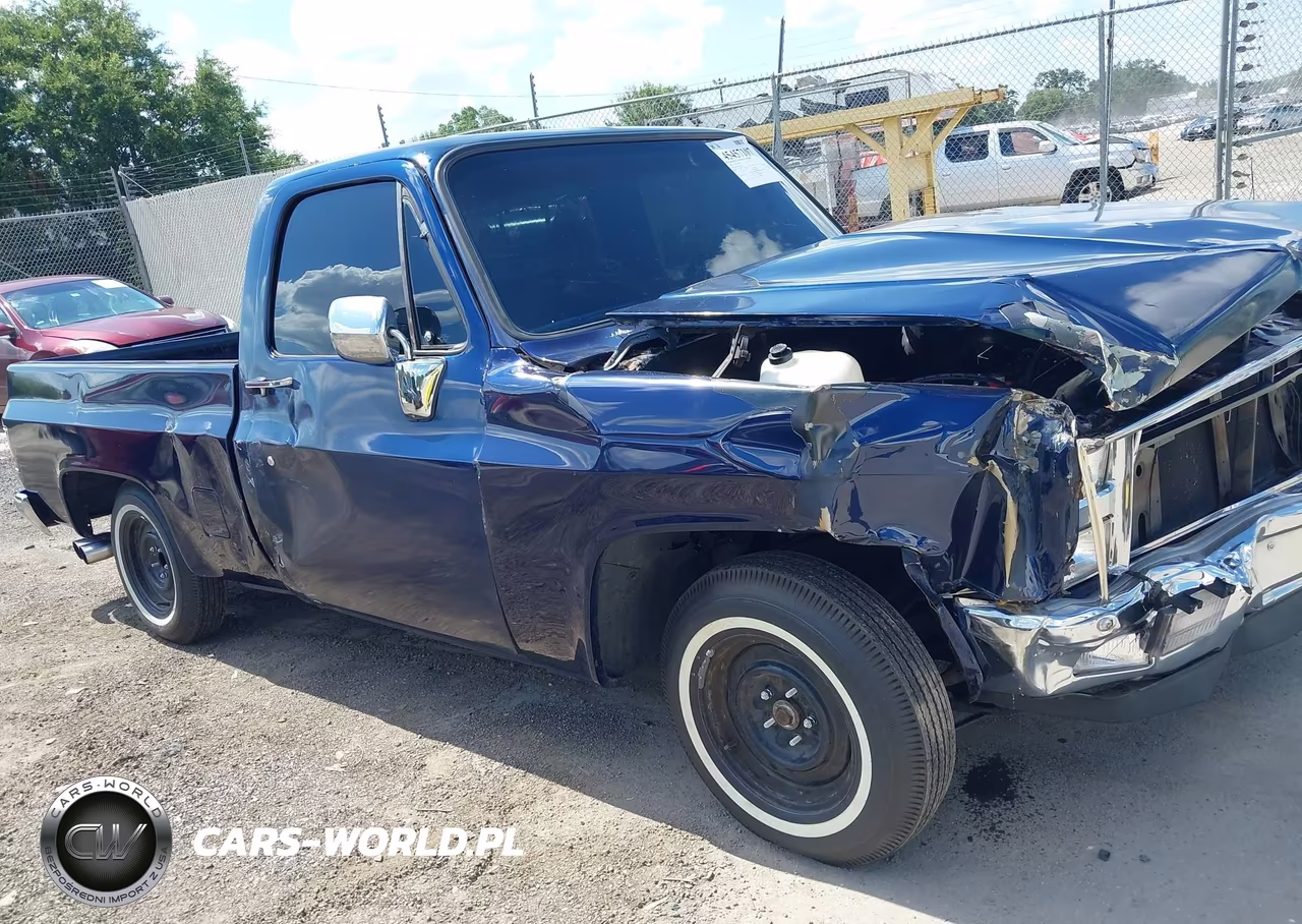 1986 Chevrolet C10 VIN:1GCDC14H2GF397779 - 12