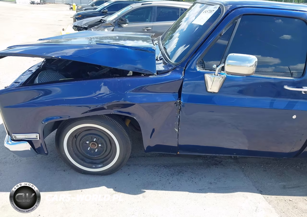1986 Chevrolet C10 VIN:1GCDC14H2GF397779 - 14