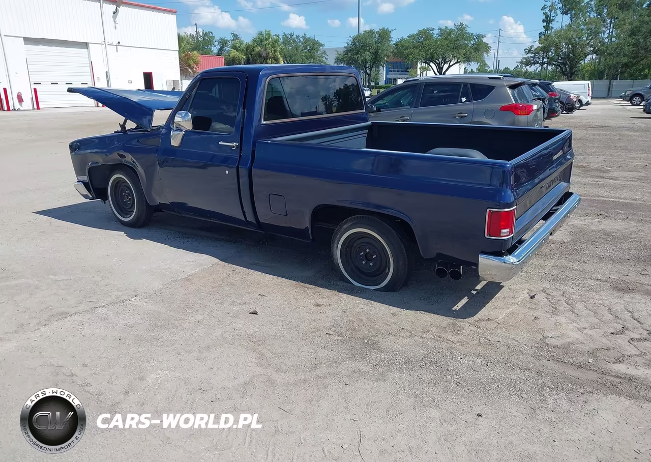 1986 Chevrolet C10 VIN:1GCDC14H2GF397779 - 3