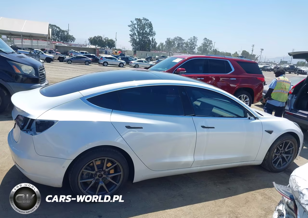 2019 Tesla Model 3 Long Range-Mid Range-Standard Range-Standard Range Plus VIN:5YJ3E1EA9KF362788 - 12