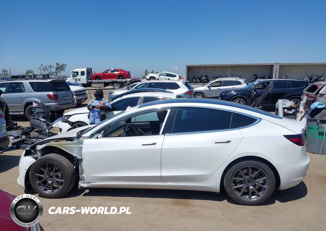 2019 Tesla Model 3 Long Range-Mid Range-Standard Range-Standard Range Plus VIN:5YJ3E1EA9KF362788 - 13