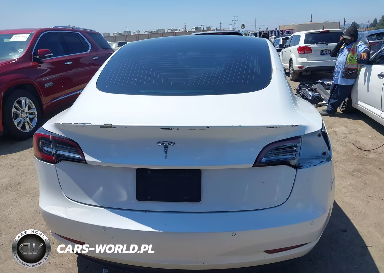 2019 Tesla Model 3 Long Range-Mid Range-Standard Range-Standard Range Plus VIN:5YJ3E1EA9KF362788 - 15
